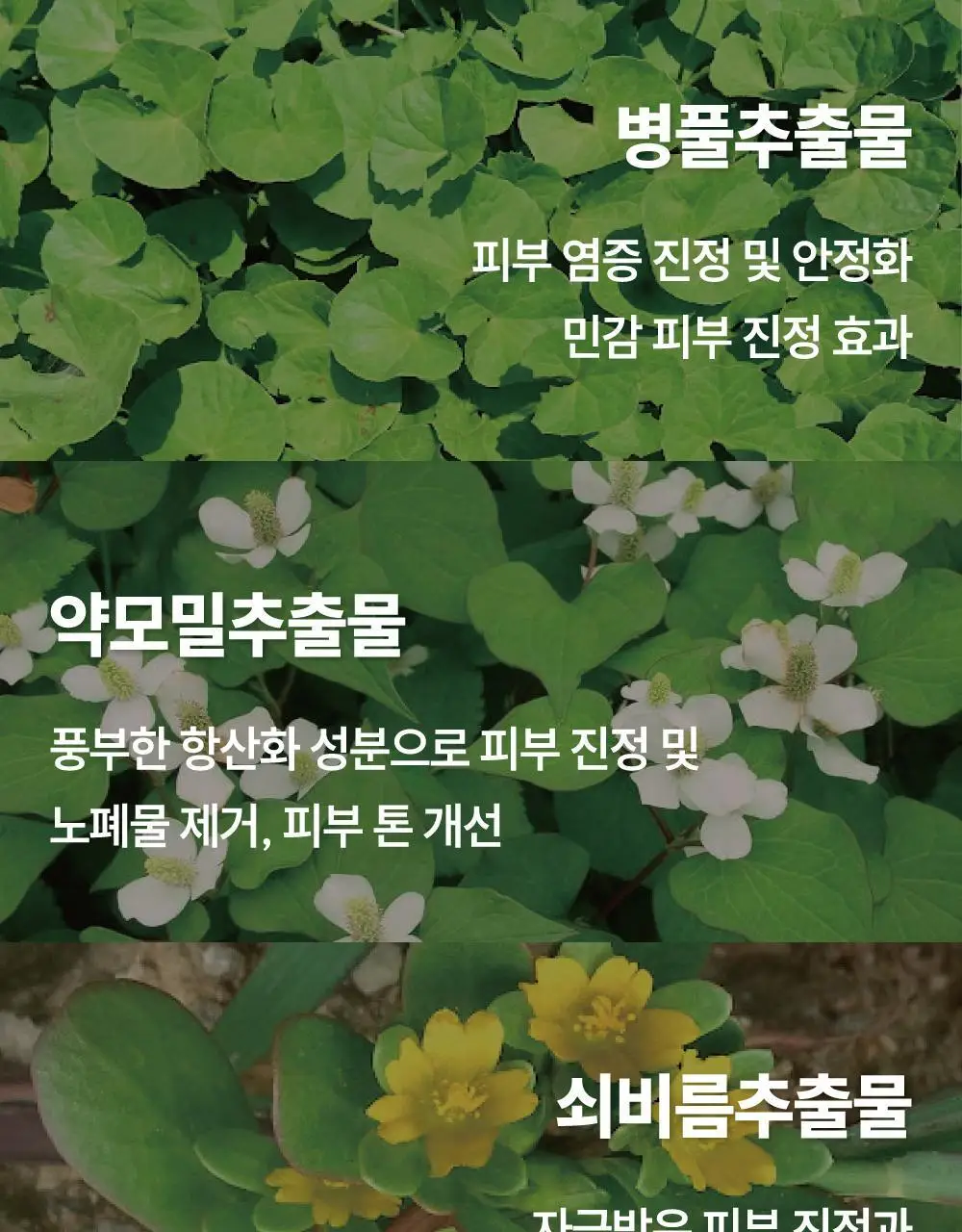 [500억유산균팩] 써니콘 마이크로바이옴 유산균 모델링팩 (7개입) 상세페이지 46